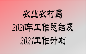 ũҵũ2020깤ܽἰ2021ƻ