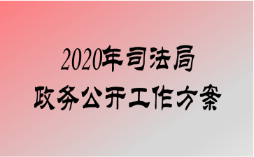 2020˾񹫿