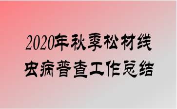 2020＾ɲ߳没ղ鹤ܽ