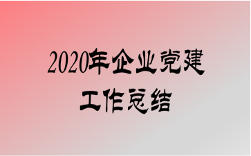 2020ҵܽ