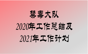 2020깤ܽἰ2021깤ƻ