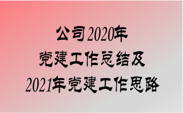 ˾2020굳ܽἰ2021굳˼·