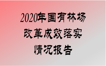 2020ֳĸЧʵ