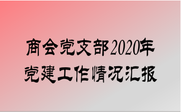 ̻ᵳ֧2020굳㱨