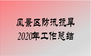 羰Ѵ2020깤ܽ