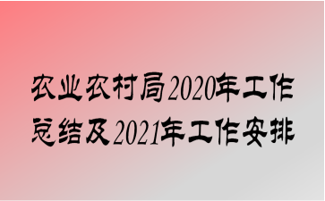 ũҵũ2020깤ܽἰ2021깤