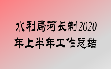 ˮֺӳ2020ϰ깤ܽ