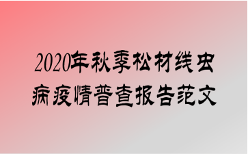 2020＾ɲ߳没ղ鱨淶