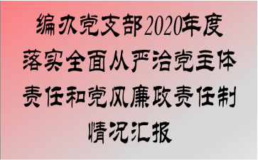 쵳֧2020ʵȫεκ͵㱨