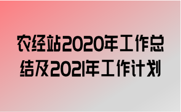 ũվ2020깤ܽἰ2021깤ƻ