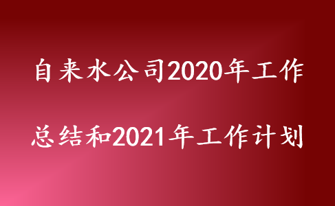 ˮ˾2020깤ܽ2021깤ƻ