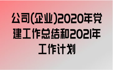 ˾(ҵ)2020굳ܽ2021깤ƻ