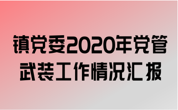 ί2020굳װ㱨