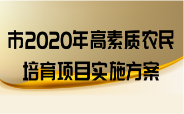 2020ũĿʵʩ