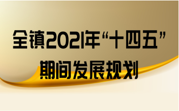 ȫ2021ꡰʮ塱ڼ䷢չ滮