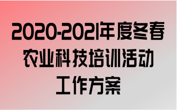 2020-2021ȶũҵƼѵ