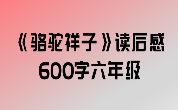 ӡ600꼶