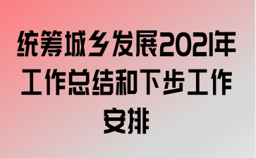 ͳ緢չ2021깤ܽ²