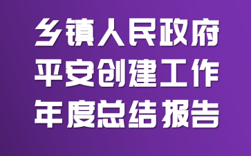 乡镇人民政府平安创建工作年度总结报告